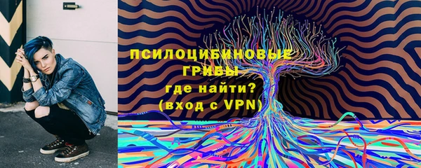 не бодяженный Снежинск