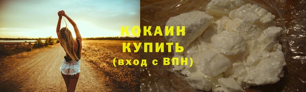 сатива Елабуга