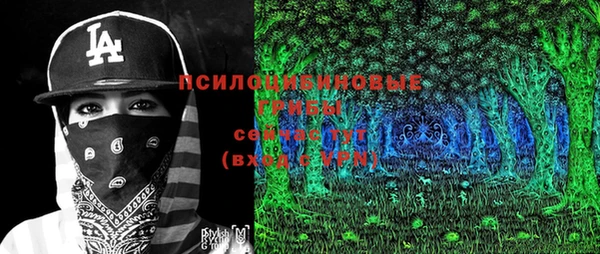 тгк Слюдянка