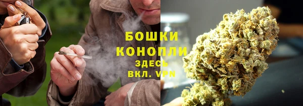 тгк Слюдянка